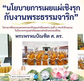 นโยบายการเผยแผ่เชิงรุก